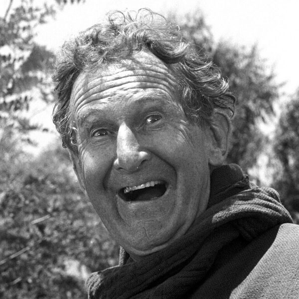 Doodles Weaver