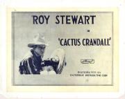 CACTUS CRANDALL